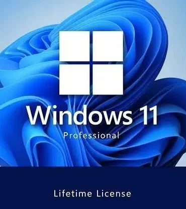 Microsoft Windows 11 Pro License